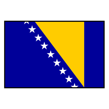 Bosnia and Herzegovina logo
