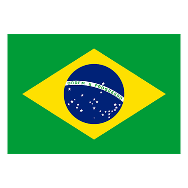 Brazil logo
