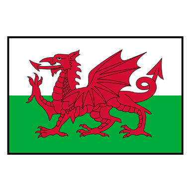 Wales logo