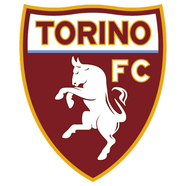 Torino logo