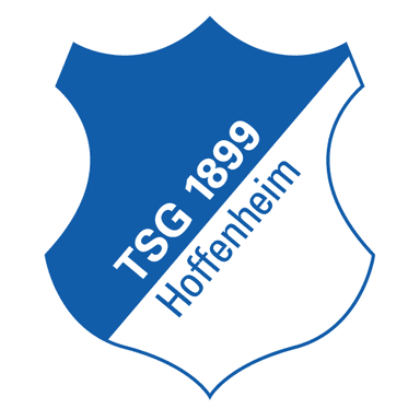 TSG Hoffenheim logo