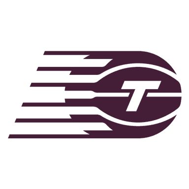 Toronto Tempo logo